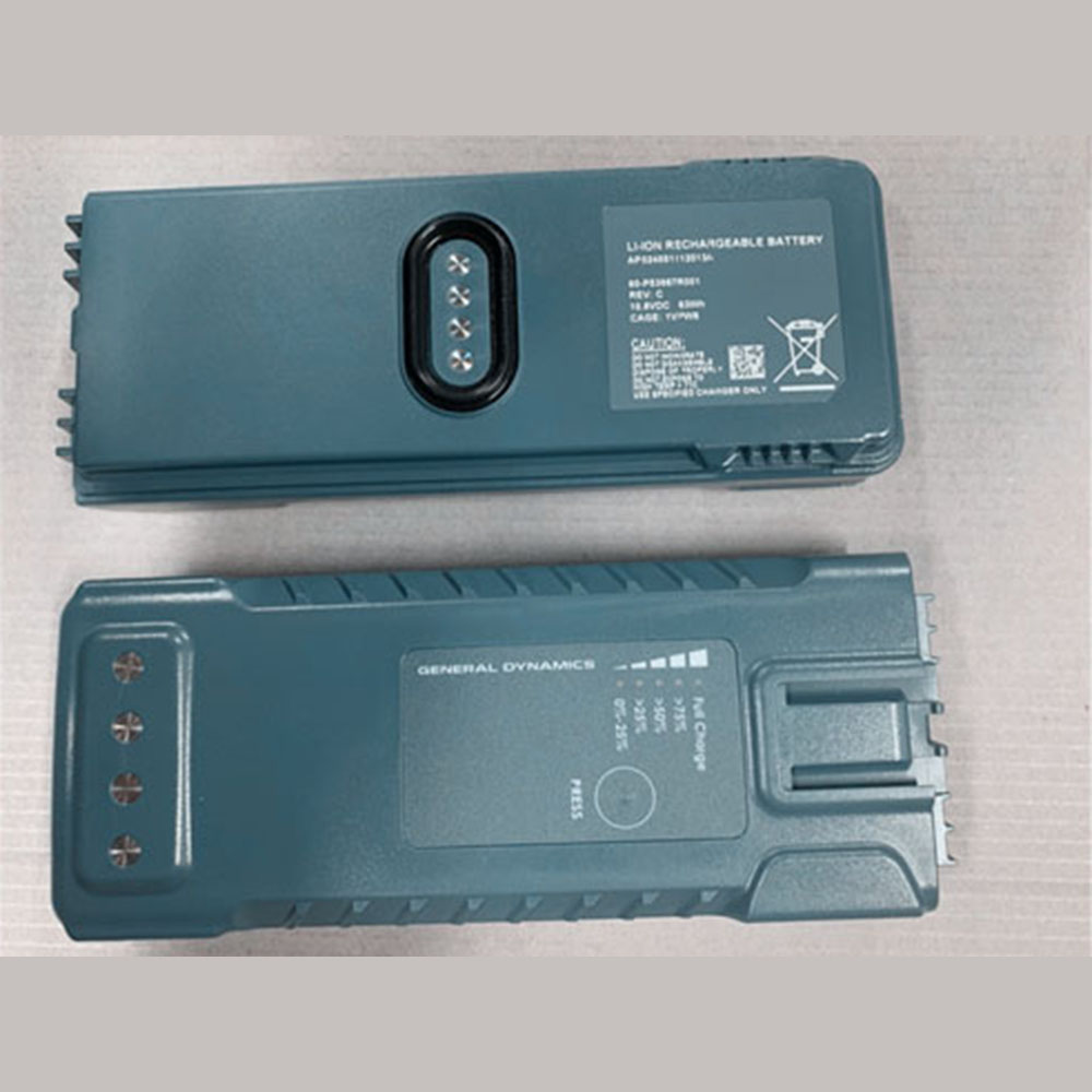 60-P53987R001 batería